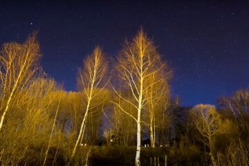 Зоряне небо. Фото: YouTube, скрін