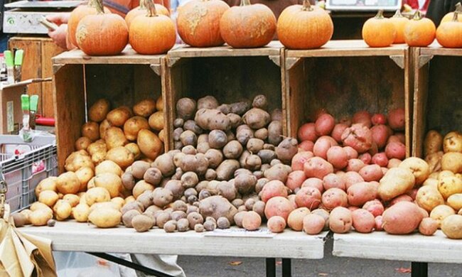Не только картошка и виноград: Киев открывает осенние ярмарки, что можно купить