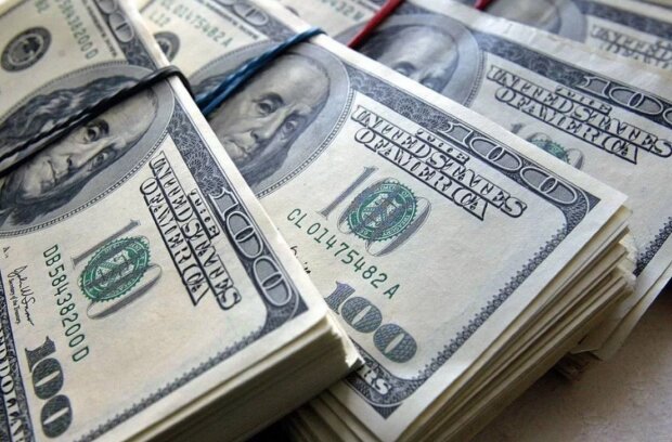 Курс валют в Украине, доллар, Минфин, НБУ. Фото: Telegram