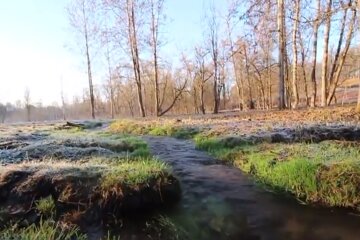 Природа весной. Фото: скриншот YouTube-видео