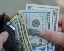 Долар, курс валют, банк, Мінфін, НБУ. Фото: Telegram