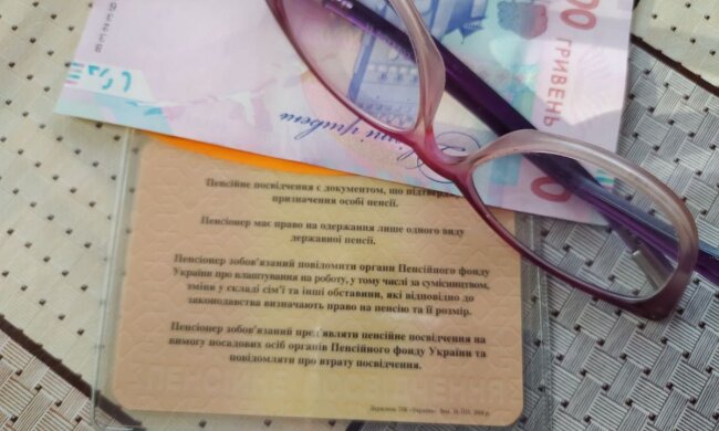 Украинцам объяснили, выгодно ли оставаться на работе после выхода на пенсию Фото: Скриншот YouTube
