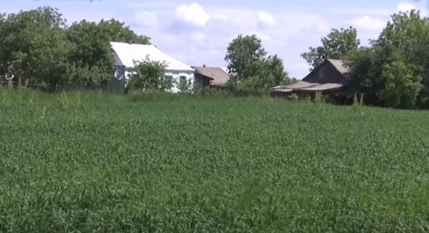 Село в Украине. Фото: скриншот YouTube-видео