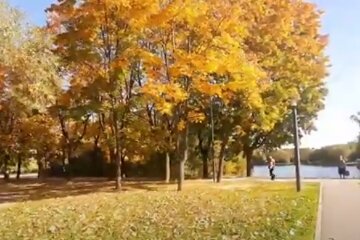 Погода осенью. Фото: скриншот YouTube-видео