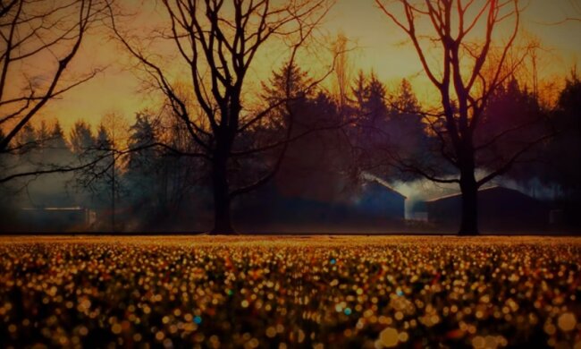 Погода 22 октября 2020 года