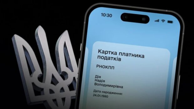 Автоматическое взыскание налогов и долгов через "Действие". Фото: Telegram