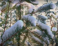 Зима. Фото: YouTube, скрін