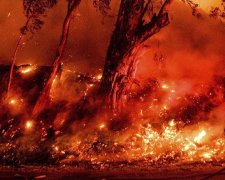 Пожары в Австралии, фото - i.ytimg.com