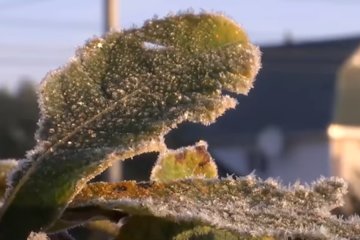 В ближайшие дни Украину накроют сильные заморозки. Фото: скриншот Youtube