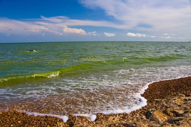 Не купайтесь на одесских пляжах - вода уже позеленела. Людей официально предупредили