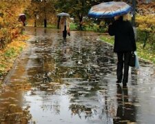 Украину накроют дожди. Фото: скриншот видео