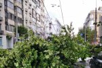 Киев накроет непогода, берегитесь деревьев: прогноз в Киеве на 6 октября