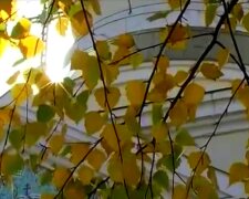Осенний пейзаж. Фото: скриншот YouTube