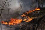 Масштабна лісова пожежа в зоні відчуження. Фото: ДСНС Київщини