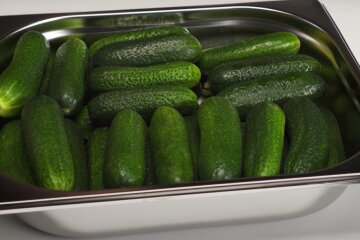 Огірки. Фото: YouTube