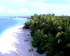 Какой сувенир нельзя привозить с моря. Фото: YouTube