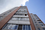 Обрадовалась беременности: киевлянка вышвырнула кошку с 9 этажа
