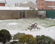 Снег осенью. Фото: Youtube