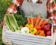 Медики рассказали, какой известный овощ нужно есть каждый день