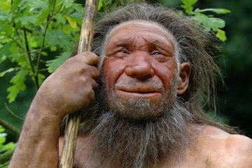 Неандертальцев уничтожили болезни 40 000 лет назад