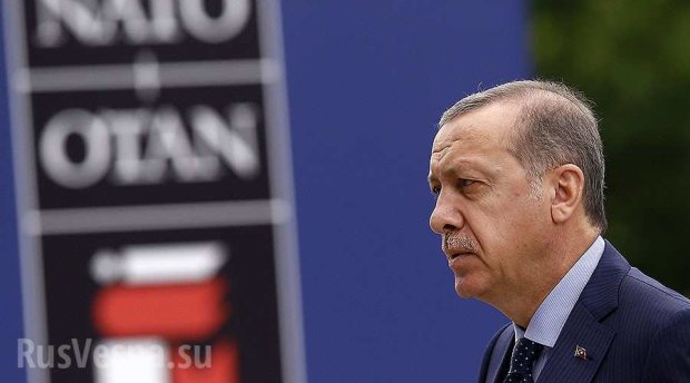 НАТО поставило Турции жесткий ультиматум — могут исключить из Альянса