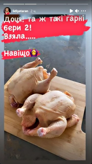 "Истории" Лидии Таран. Фото: скриншот instagram.com/lidiyataran/