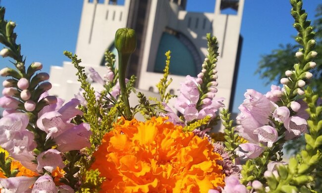 К +18: завтра последний по-настоящему весенний день перед похолоданием