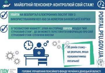 Скриншот ПФУ