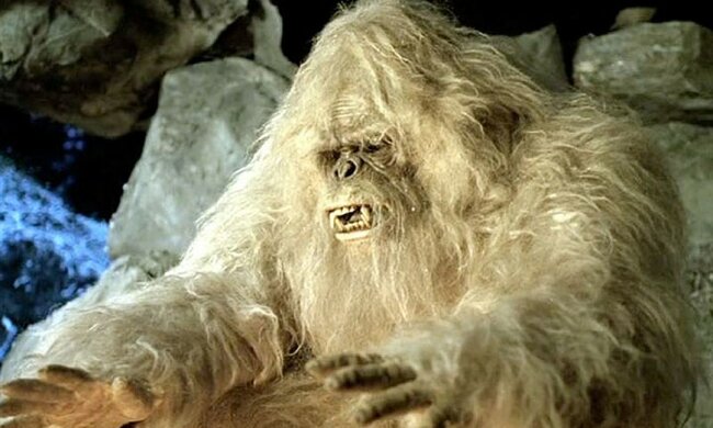 Миф о «следах йети» развенчали индийские военные