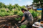 рок-музикант город помідори