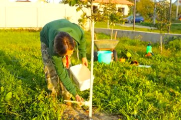 Сад. Фото: YouTube