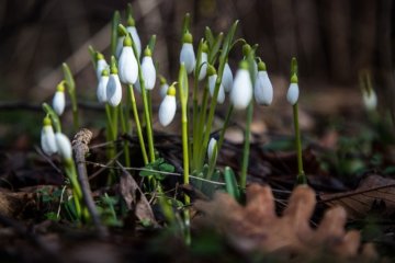 Февральская погода