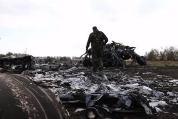 Место падения малазийского Боинга. Фото: скрин youtube