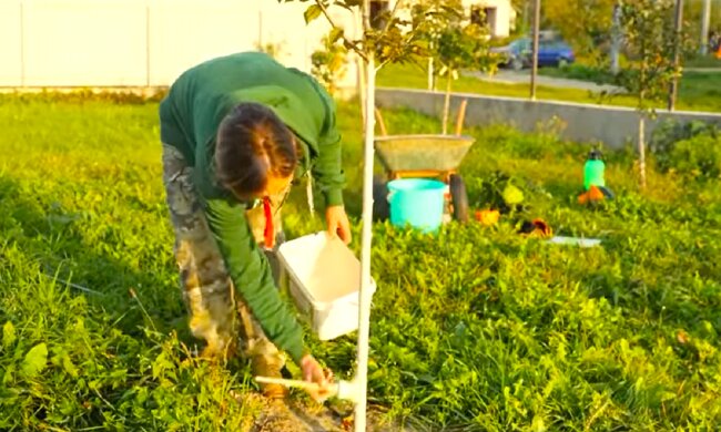 Сад. Фото: YouTube