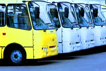 Автобусы. Фото: ГолосUA