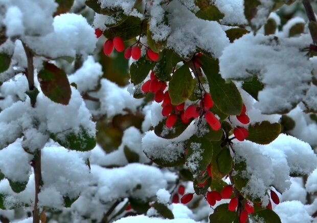 Зима.  Фото: скриншот YouTube-видео