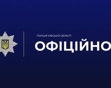 Поліція Київщини на місці нападу собак у Борисполі