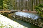 В Украине может выпасть первый снег. Фото: скрин youtube