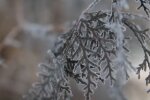 Мороз. Фото: скриншот YouTube-видео