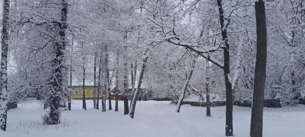 Наталка Діденко попередила про погоду на найближчі дні, мороз та сніг. Фото: Стіна