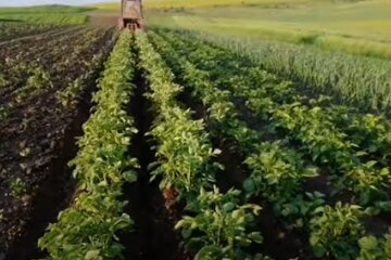 Город. Фото: скріншот YouTube-відео