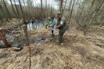 Держекоінспекція: протягом минулого тижня інспектори розрахували шкоди довкіллю на суму понад 6,2 млн гривень