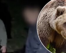 Медведица в Карпатах — иллюстративное фото