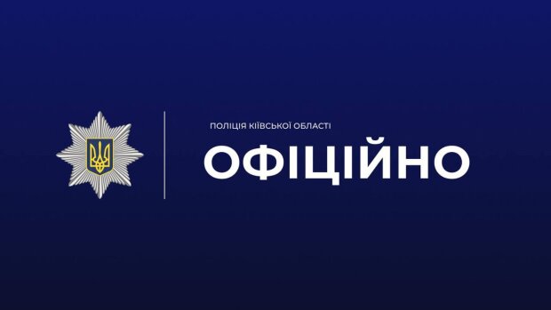Полиция Киевской области на месте нападения собак в Борисполе