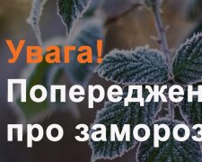 Дощі, туман і різкий холод після тепла: синоптики попередили про погодний «розворот» на вихідні