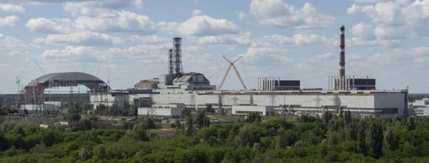 В Чернобыльской зоне поставили скрытую камеру: многие удивятся происходящему