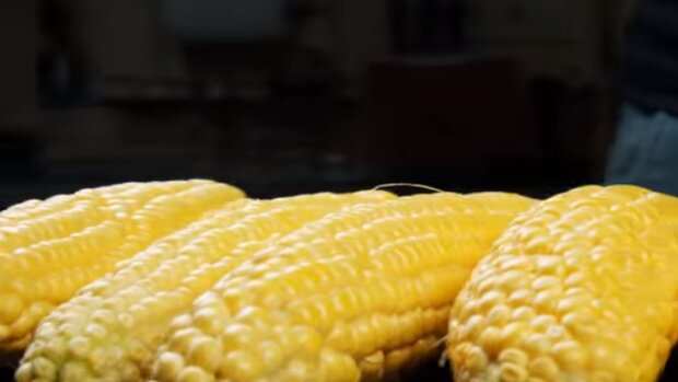 Кукурудза. Фото: скріншот YouTube-відео