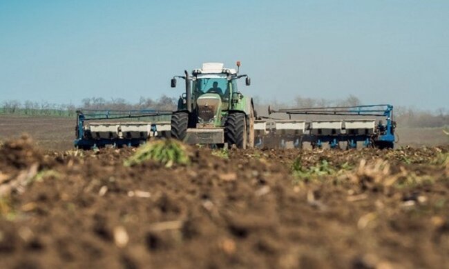 У кого есть пай: цену на землю переписали, сколько стоит гектар