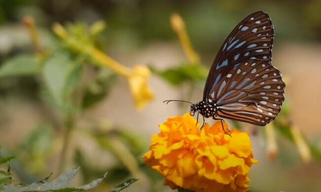 Погода на 16 сентября 2020 года