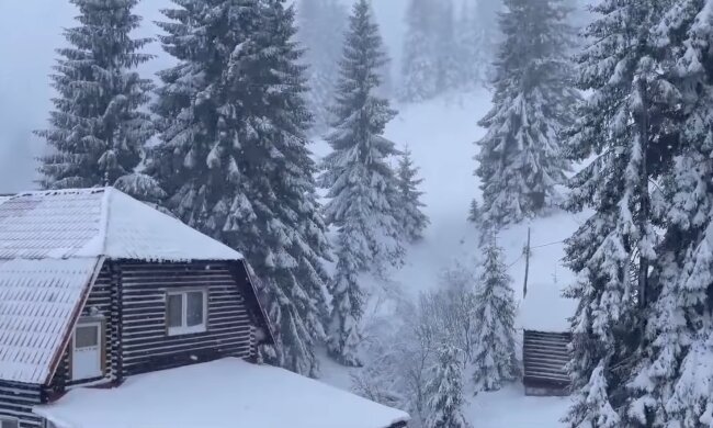 Снегопад. Фото: скриншот YouTube-видео